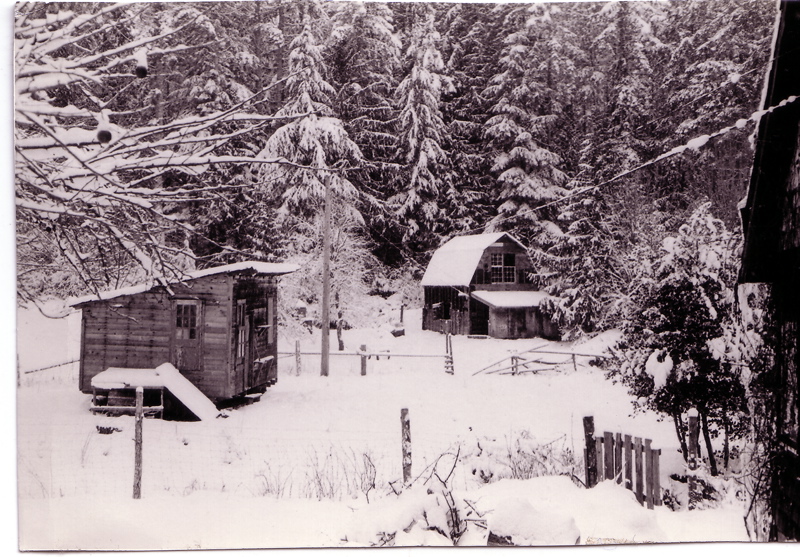 1971(jan)farmwinter1