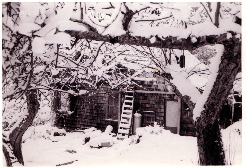 1971winterhouse