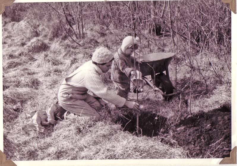 1973stevenjoeplantingtree