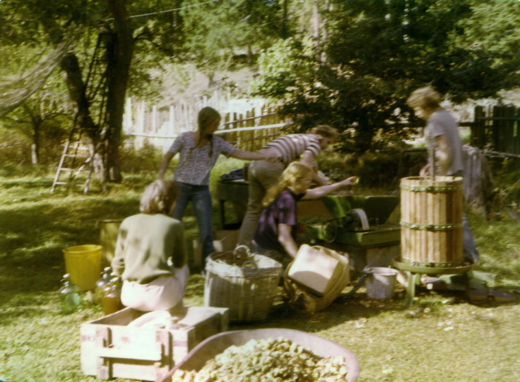 1975applepressing