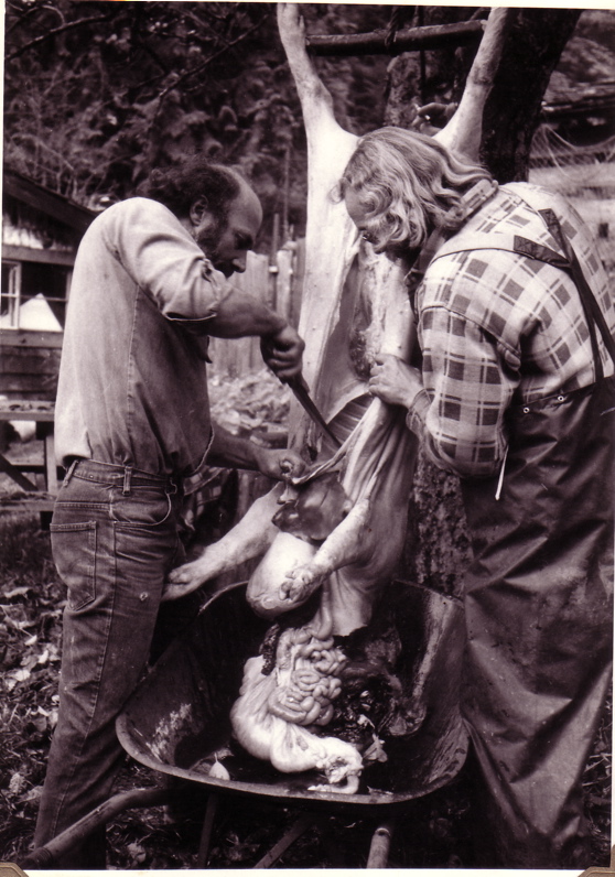 1976pigslaughter