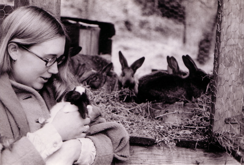 1971jancuddlerabbit