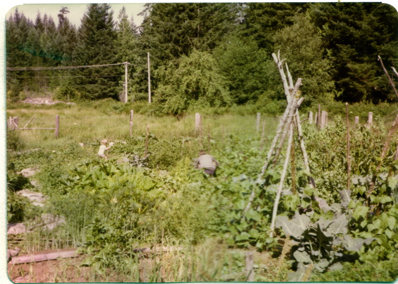 1973janjoegarden