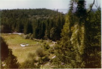 1974treeviewfarm
